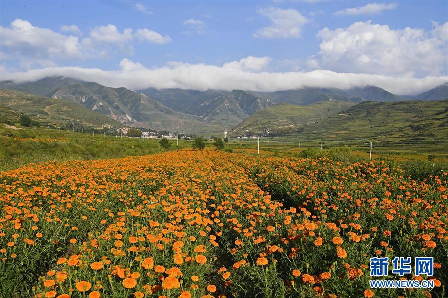 （新华全媒头条·图文互动）（8）中国扶贫的西海固答卷——宁夏奋进60年巡礼之脱贫攻坚篇