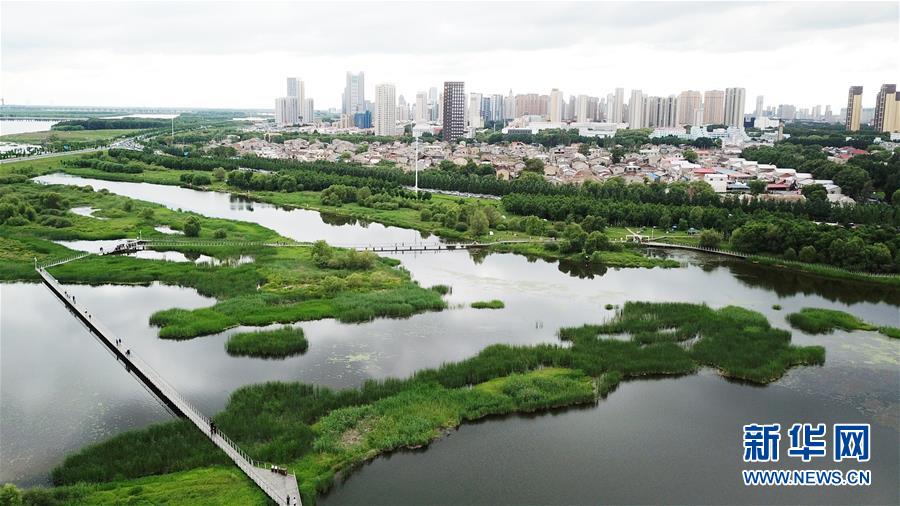 （走向我们的小康生活·图文互动）（2）水清、地绿、空气新——最北省份黑龙江绘就生态治理新画卷