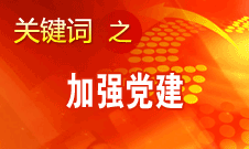 王京清：加强党建必须倍加珍惜、始终坚持、不断发展