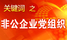 王京清：非公企业建立党组织服务企业发展、服务员工